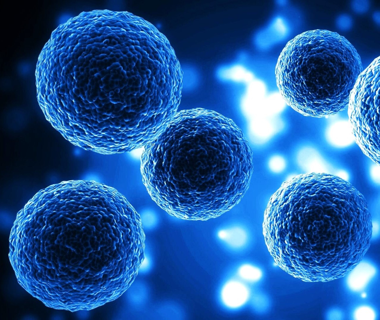 Develan los secretos del sistema de vigilancia inmunitario