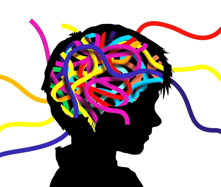 El cerebro infantil y sus tres biotipos de TDAH