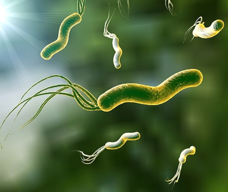 Recomendaciones actualizadas para erradicar H. pylori