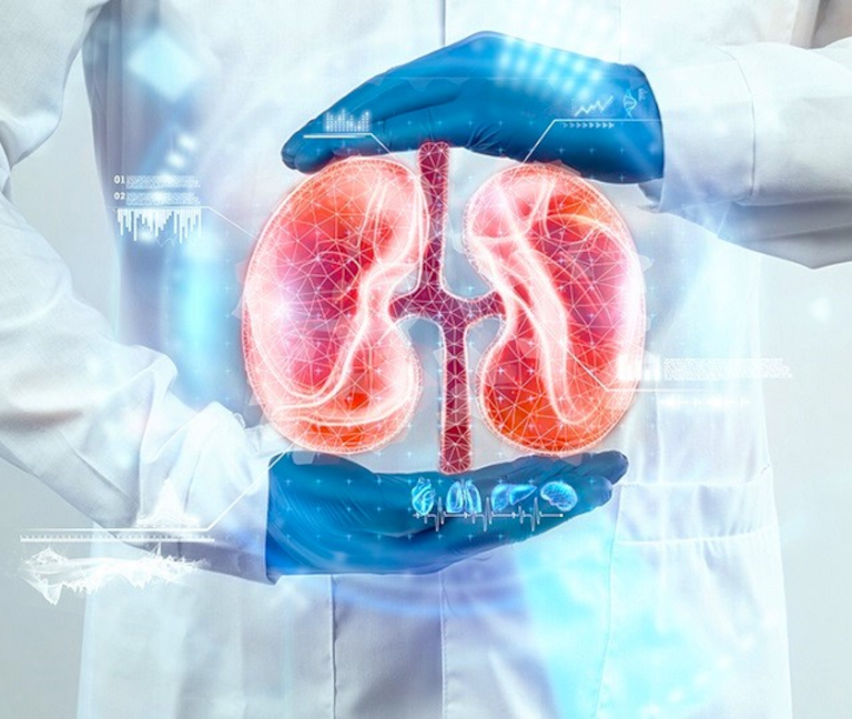 ¿Nueva forma de tratar los cálculos renales?