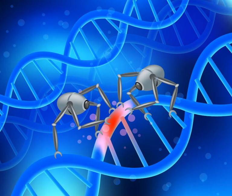 Biocompatibilidad y seguridad