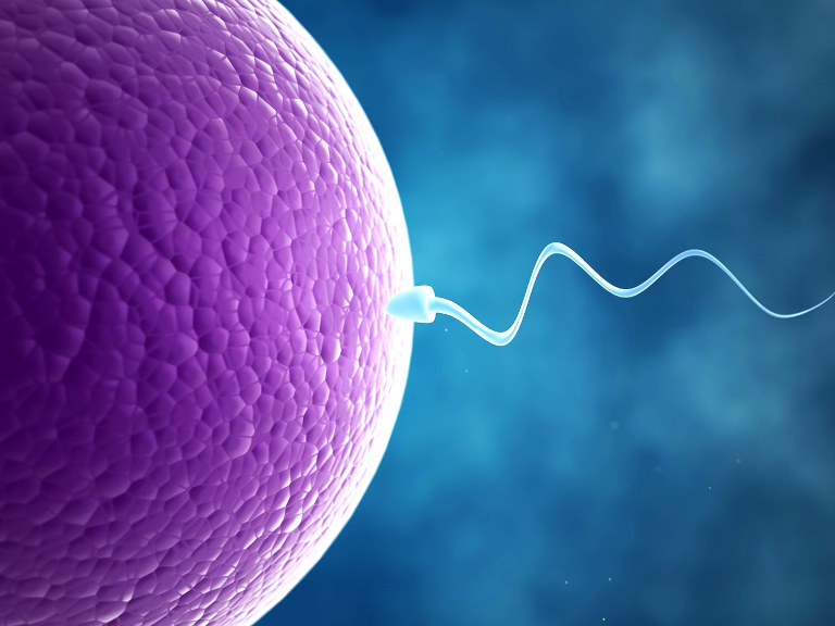 organización mundial de la salud, oms, Tedros Adhanom Ghebreyesus, infertilidad