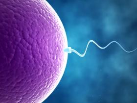 organización mundial de la salud, oms, Tedros Adhanom Ghebreyesus, infertilidad