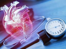 ops, oms, hearts, cardiologia