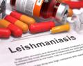 manual, leishmaniasis, senepa