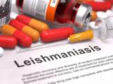 manual, leishmaniasis, senepa