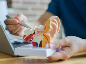 congreso orl py, reunión fino, iapo