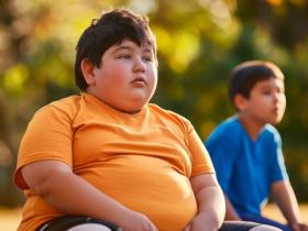 adn, obesidad infantil, riesgo cardiometabólico