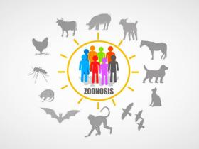enfermedades zoonóticas, ministerio de salud