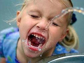 Bifidobacterias predicen la presencia de caries en la infancia