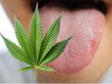cáncer oral, trastorno por consumo de cannabis, consumo problemático de cannabis, consumo de cannabis, cannabis