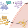 cáncer, tratamientos oncológicos, cáncer pediátrico, neuroblastoma, oncología pediátrica
