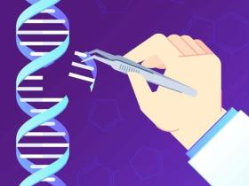 medicina genomica, tratamientos personalizados