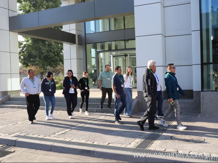 Oftalmólogos latinoamericanos descubren la planta SAVAL